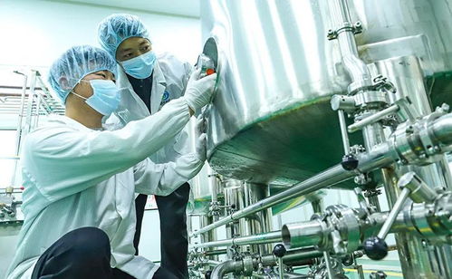 科技赋能植物工厂，张掖农特产品提质增效